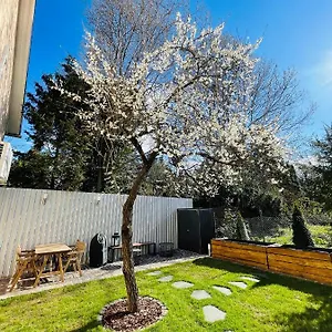 Nest Apartman Eger